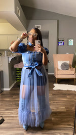 Denim X Tulle Top